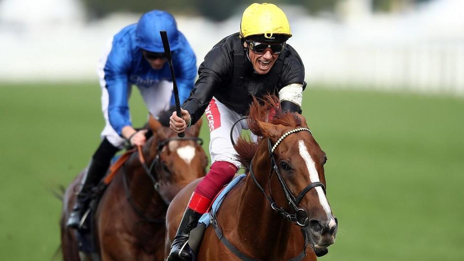 Today's Racing News: Strad hoping to outshine yesterday's Royal mess in today's Ascot Gold Cup